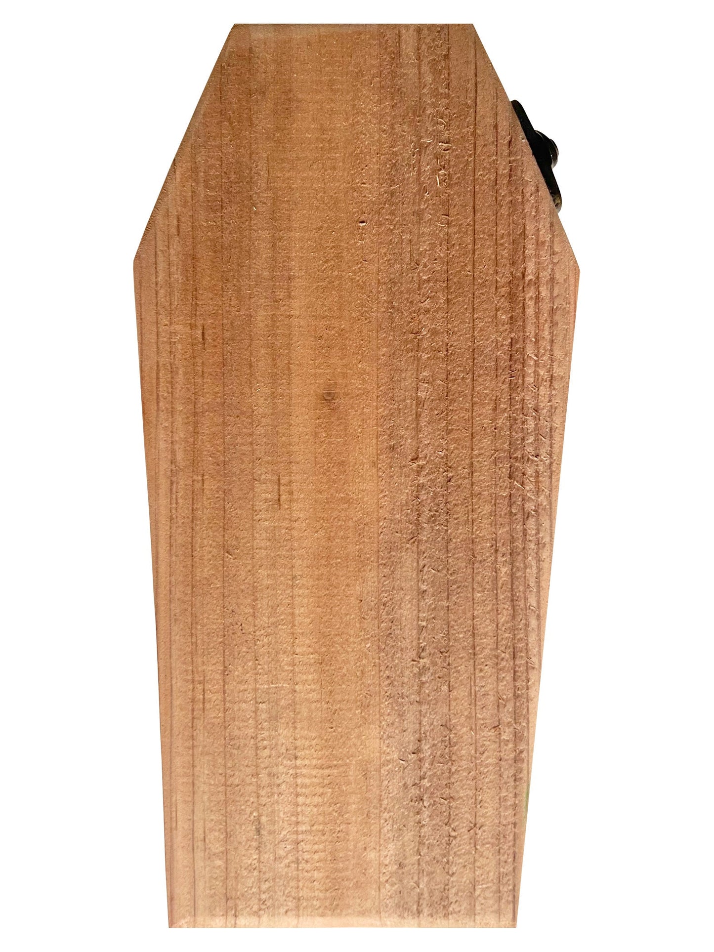 SPIDER VENOM Hot Sauce in a Handmade Cedar Coffin
